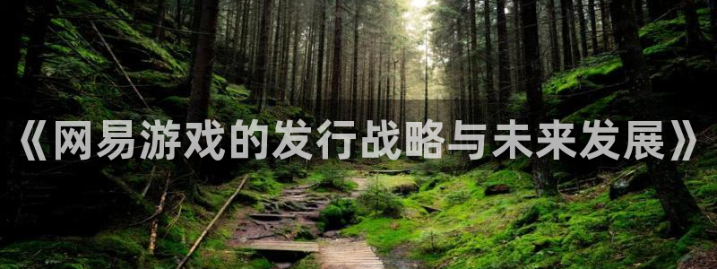 陕西db电竞子文化创意是什么：《网易游戏的发行战略与未来发展》