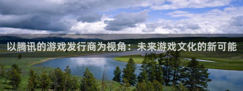 db电竞技术有限公司怎么样