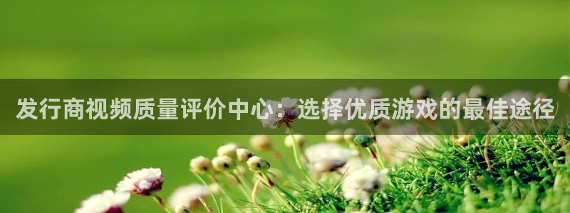 db电竞官网注册平台：发行商视频质量评价中心：选择优质游戏的最佳途径