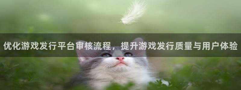 db电竞官网的奇趣腾讯是真的吗吗：优化游戏发行平台审核流程，提升游戏发行质量与用户体验