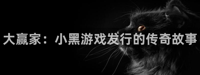 db电竞官网是什么娱乐?：大赢家：小黑游戏发行的传奇故事