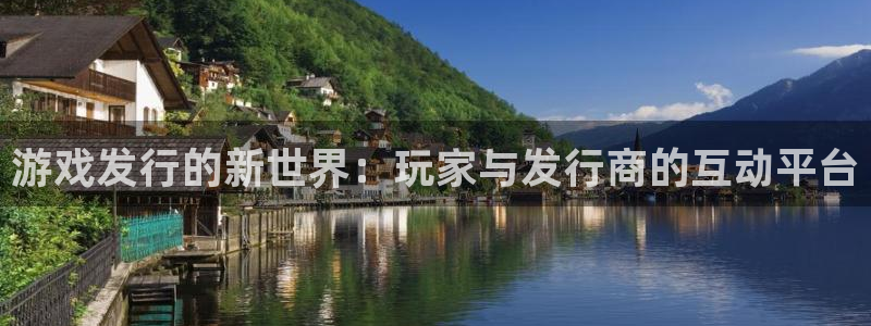 db电竞官网注册地址在哪里：游戏发行的新世界：玩家与发行商的互动平台