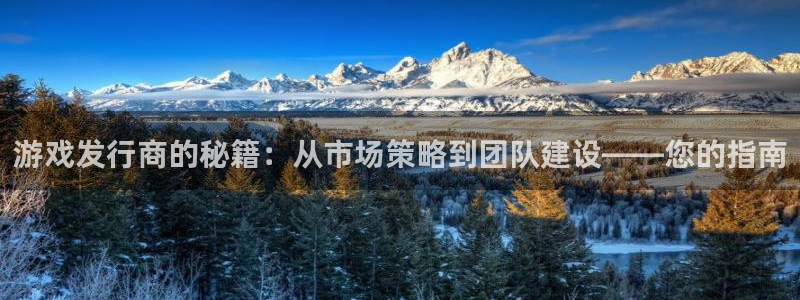 db电竞官网注册方法有哪些呢：游戏发行商的秘籍：从市场策略到团队建设——您的指南