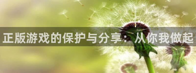 db电竞子 到底怎么样：正版游戏的保护与分享：从你我做起