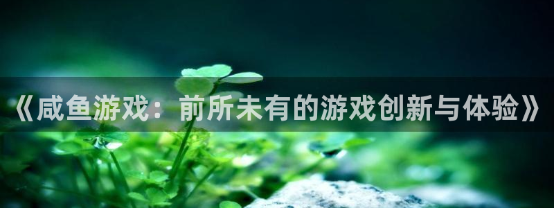 db电竞子签约作家