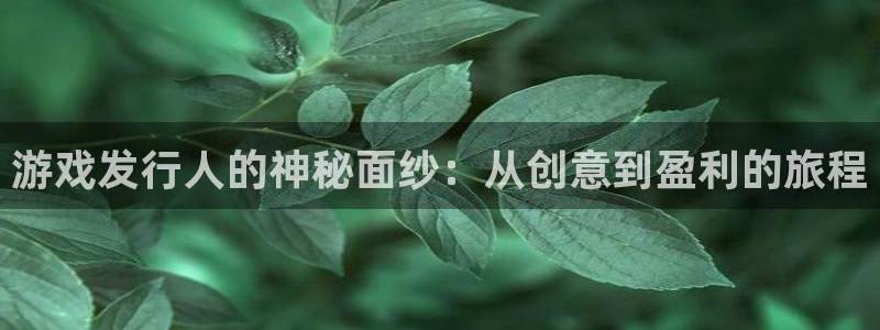 陕西db电竞子文化创意有限公司1：游戏发行人的神秘面纱：从创意到盈利的旅程