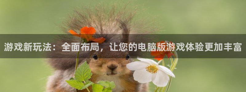 db电竞服装品牌怎么样：游戏新玩法：全面布局，让您的电脑版游戏体验更加丰富