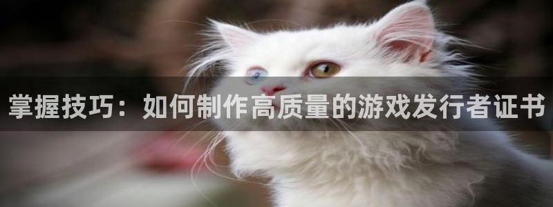 江苏db电竞智得：掌握技巧：如何制作高质量的游戏发行者证书