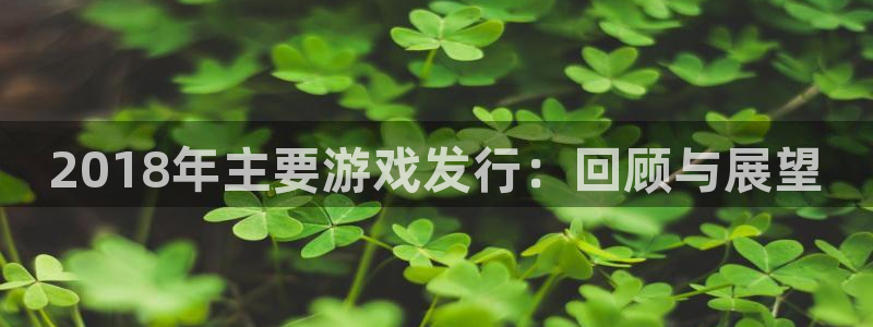 db电竞官网登录注册不了怎么办：2018年主要游戏发行：回顾与展望